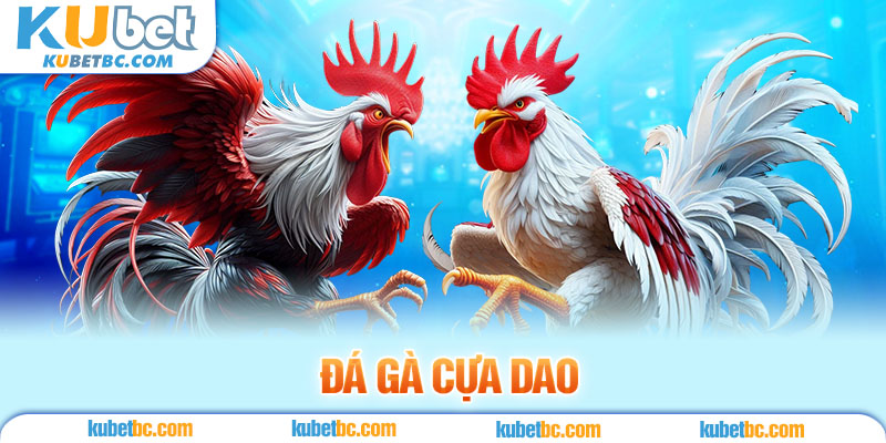 ảnh đại diện đá gà cựa dao