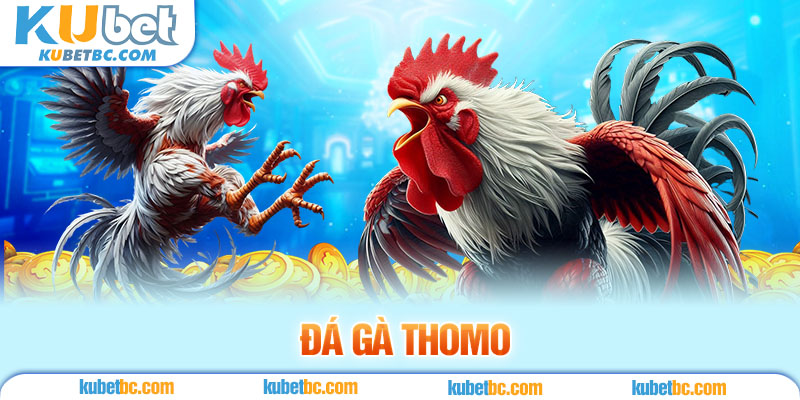 ảnh đại diện đá gà thomo