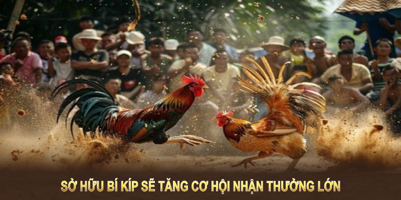 Sở hữu bí kíp sẽ tăng cơ hội nhận thưởng lớn