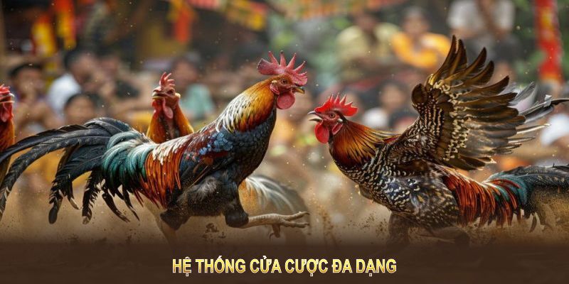 Hệ thống cửa cược đa dạng giúp tăng cơ hội chiến thắng